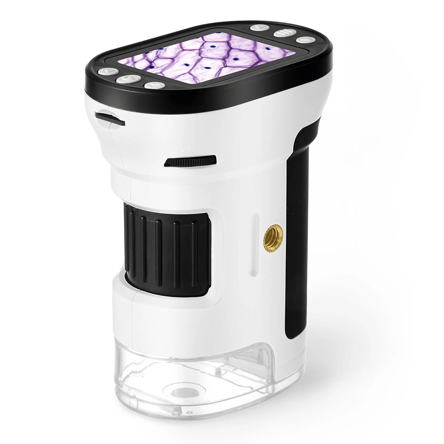 1000X Microscope for Kids